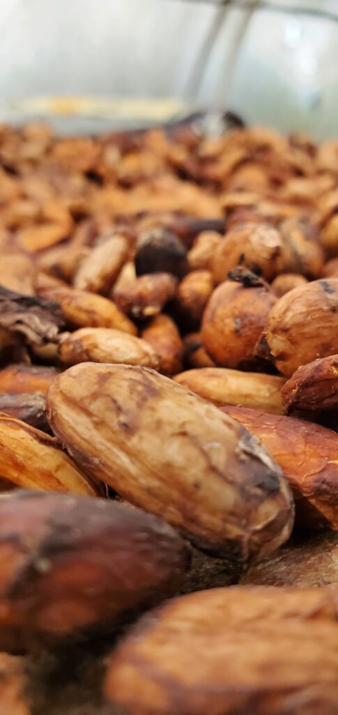 Cacao Beans